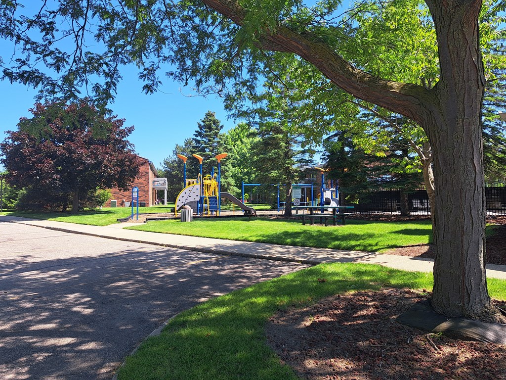 a park with a playground and a tree