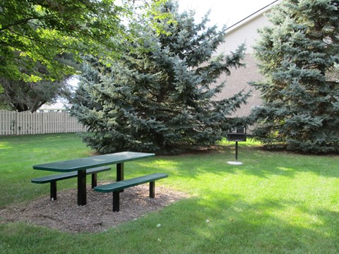 Picnic and Grill Area