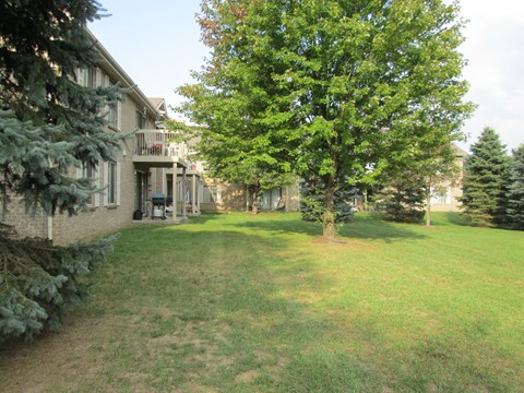 Beautiful courtyards