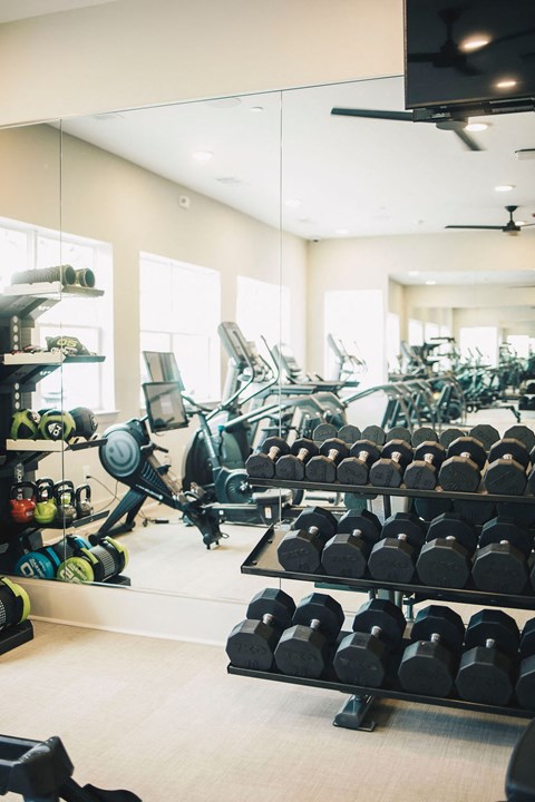 a gym with weights and racks of dumbbells at Woodlands Creekside Apartments, Georgia, 30253