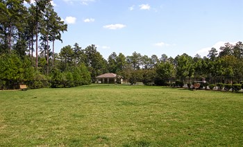 dog park