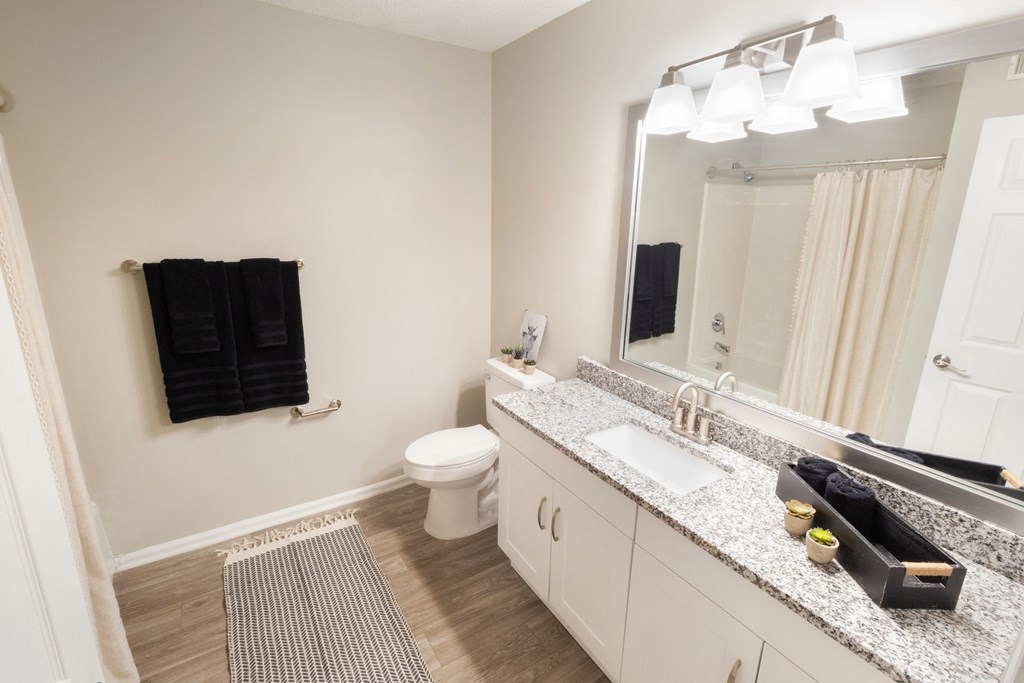 a bathroom with a sink and a toilet and a mirror