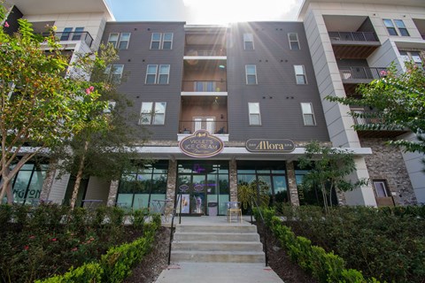 The Ellington At Oviedo Park