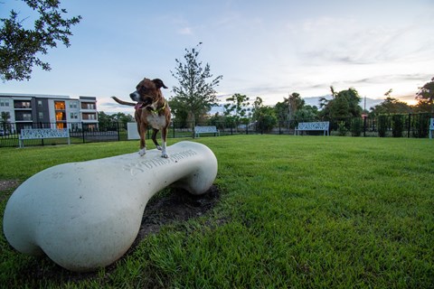 The Ellington At Oviedo Park
