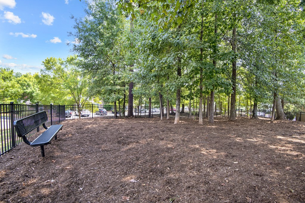 a park bench in a park with trees