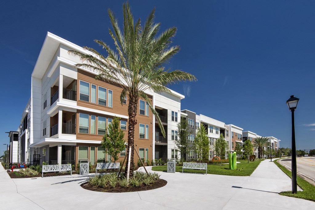 an exterior view of a building with a palm tree in the middle of the walkway
