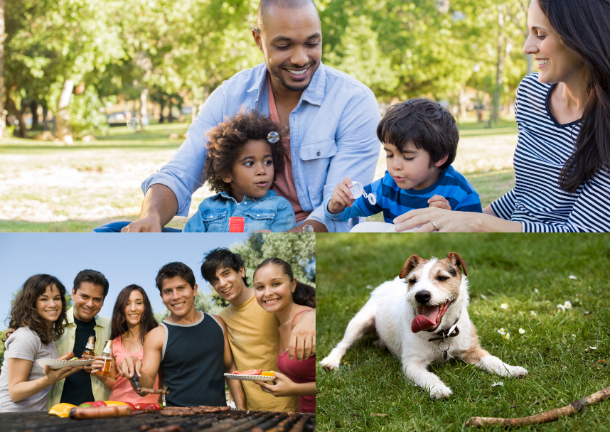 Community fellowship