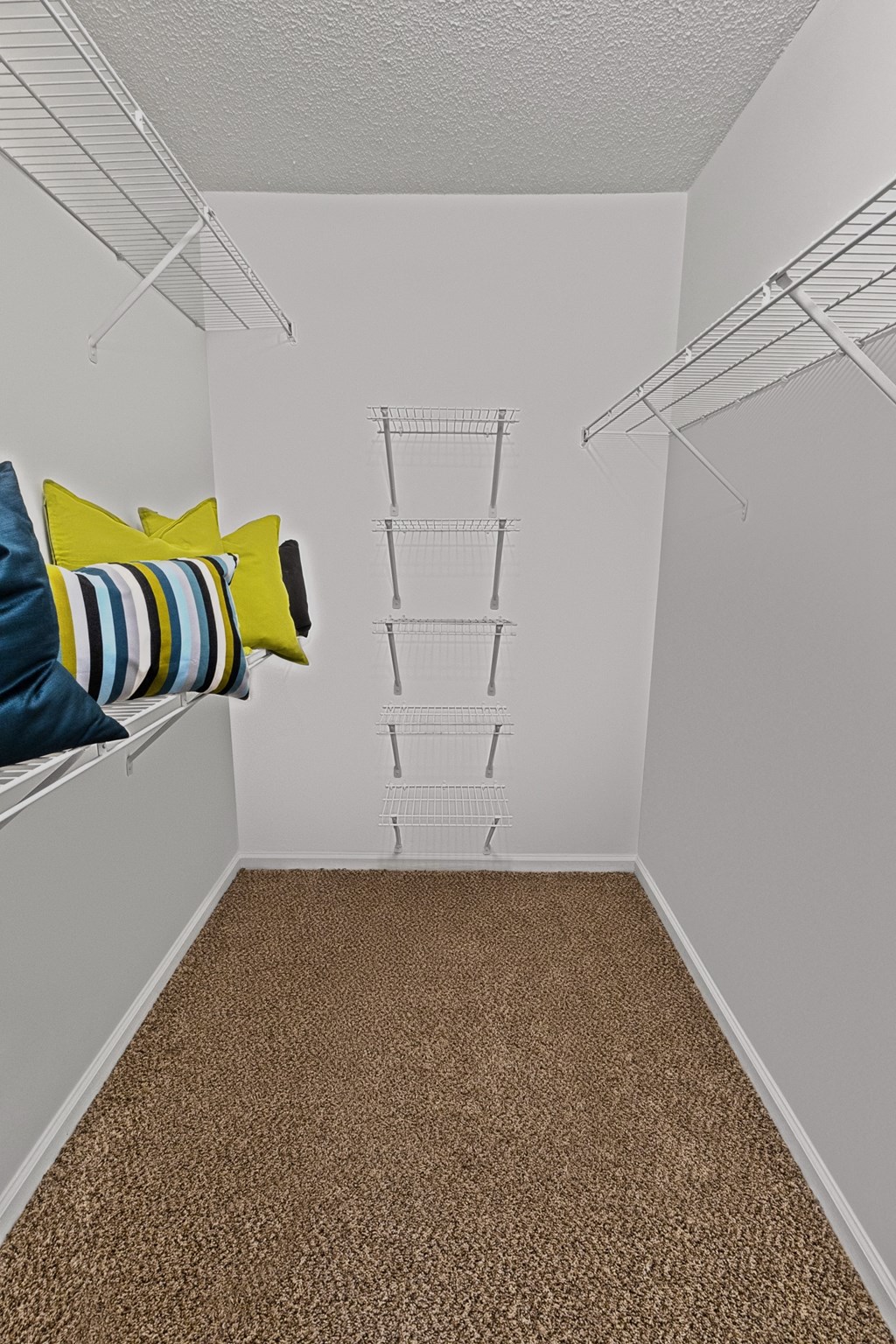 Large Closet at The Carlyle at Perimeter, Dunwoody, GA, 30338