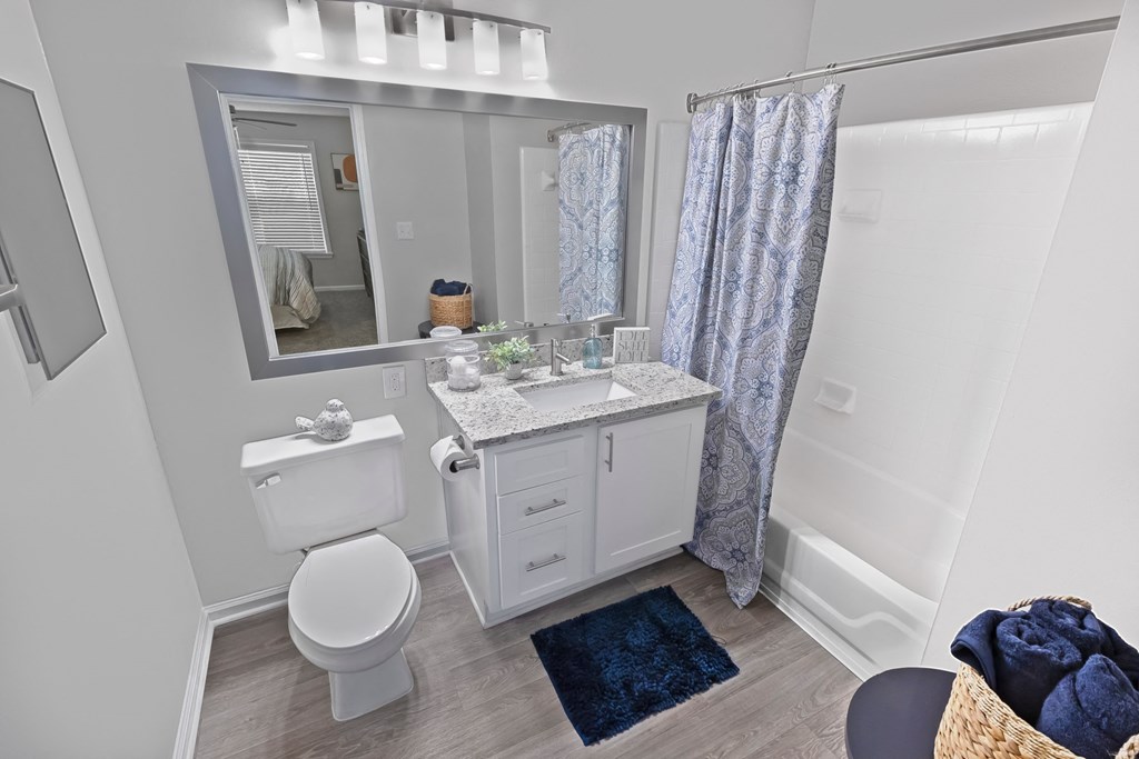 Bathroom With Bathtub at The Carlyle at Perimeter, Dunwoody, 30338