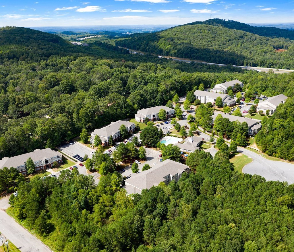 A bird's eye view of a residential area surrounded by dense green forest. at The Dawson Cartersville in Cartersville, GA 30191