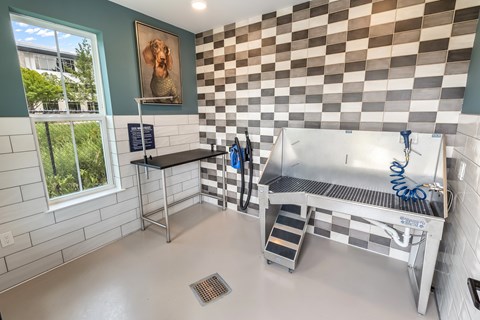 A room with a checkered wall and a sink.
