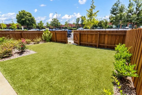 A backyard with a green lawn and a wooden fence.