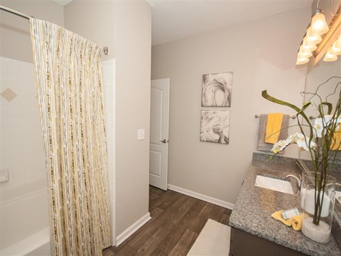 Luxurious Bathroom at North Park Estates, Georgia