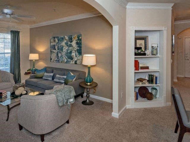 Candler Book Shelves