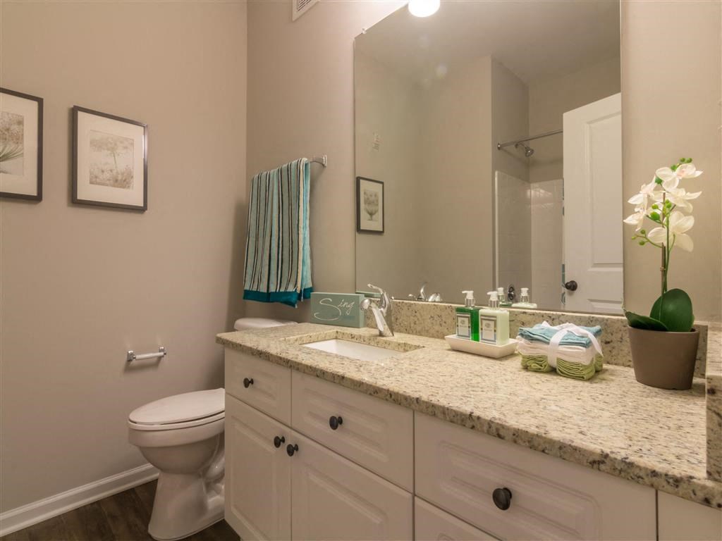 Model Bathroom at The Pointe at Suwanee Station, Suwanee, GA