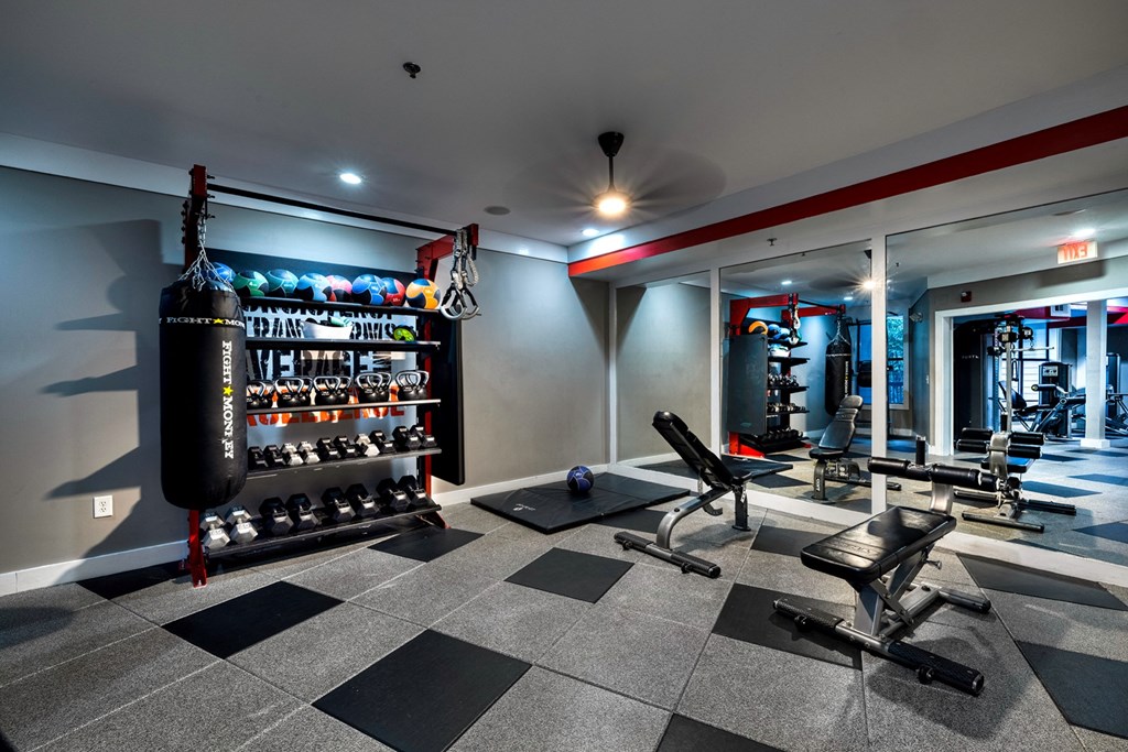 Gym at West Inman Lofts Apartments, Atlanta, GA
