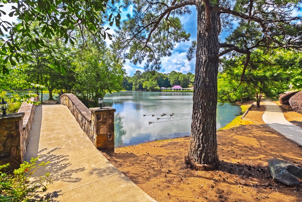 Lake and Trail Bridge