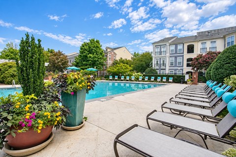 A pool surrounded by lounge chairs and potted plants.