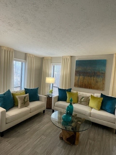 Model Living Room at Seven Pines, Alpharetta, GA