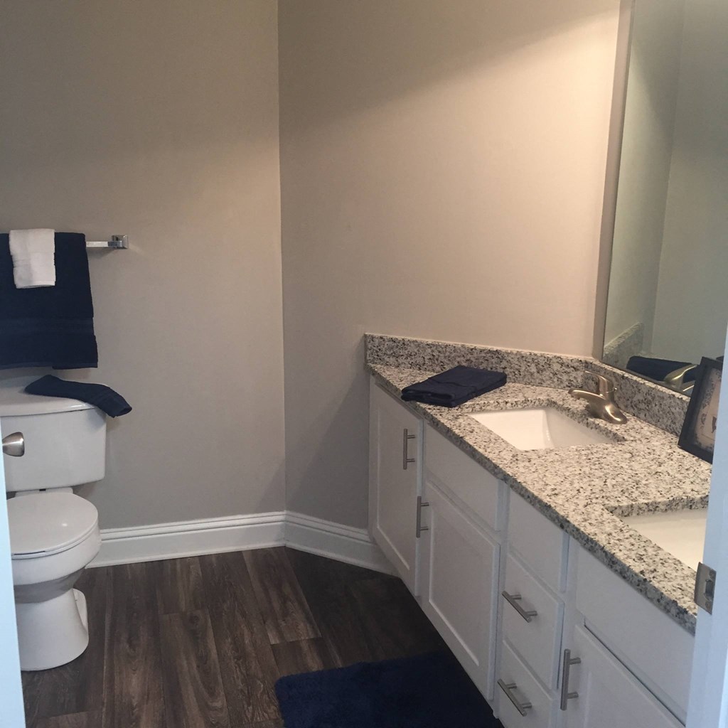 a bathroom with a toilet sink and mirror at Lullwater at Calumet, Newnan