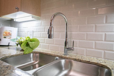 a kitchen sink with a faucet on a counter top