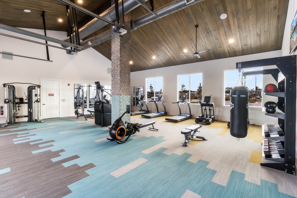 a gym with weights and cardio equipment on a blue and white rug