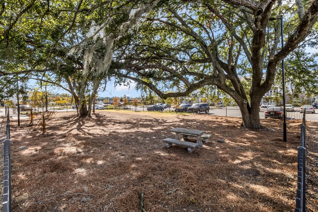 a picnic table in a park under trees