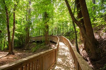 Beautiful Walking Paths at The Mill at Chastain, Georgia, 30144