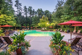 pool - Photo Gallery 5