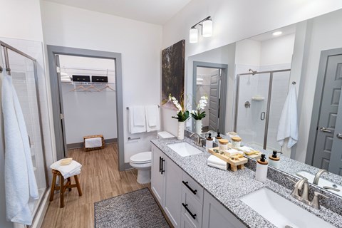 a bathroom with a sink and a toilet and a shower