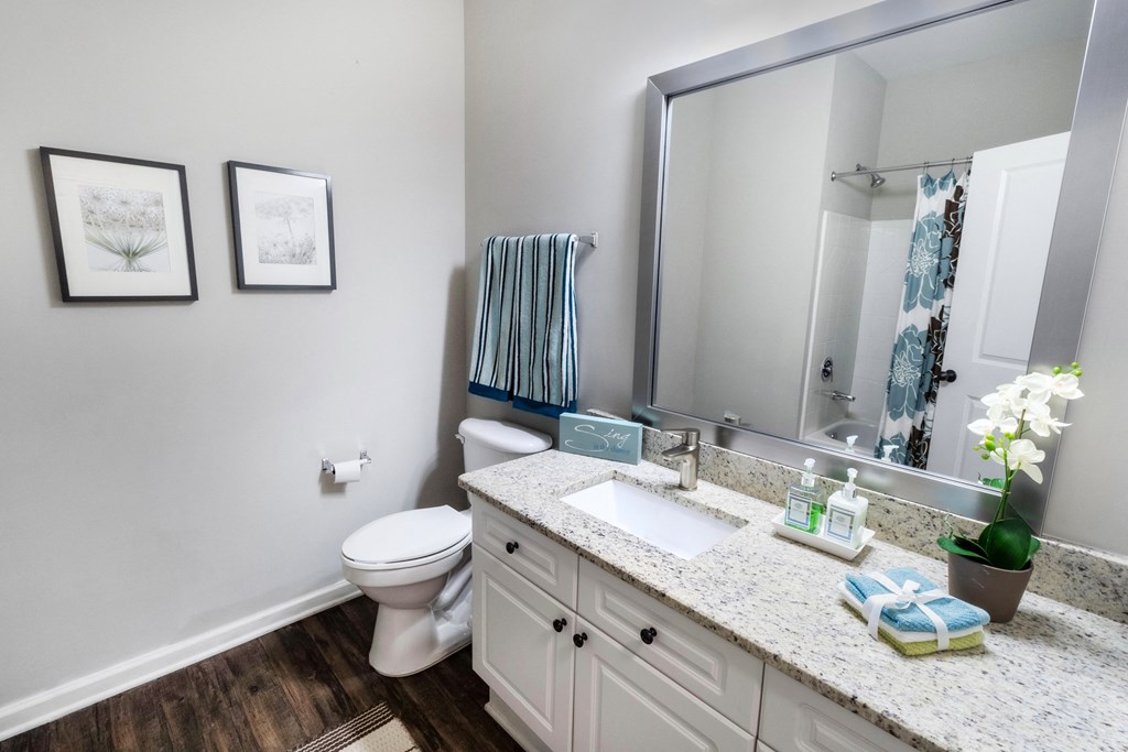 Luxurious Bathroom at The Pointe at Suwanee Station, Suwanee, GA, 30024