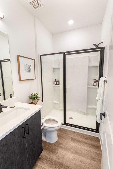 a bathroom with a shower and a sink and a toilet