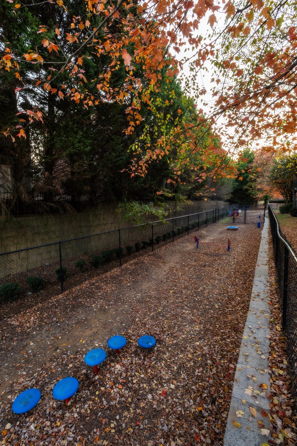 a path with blue frisbees on the ground at The Reserve at Sugarloaf Apartments, Duluth, GA