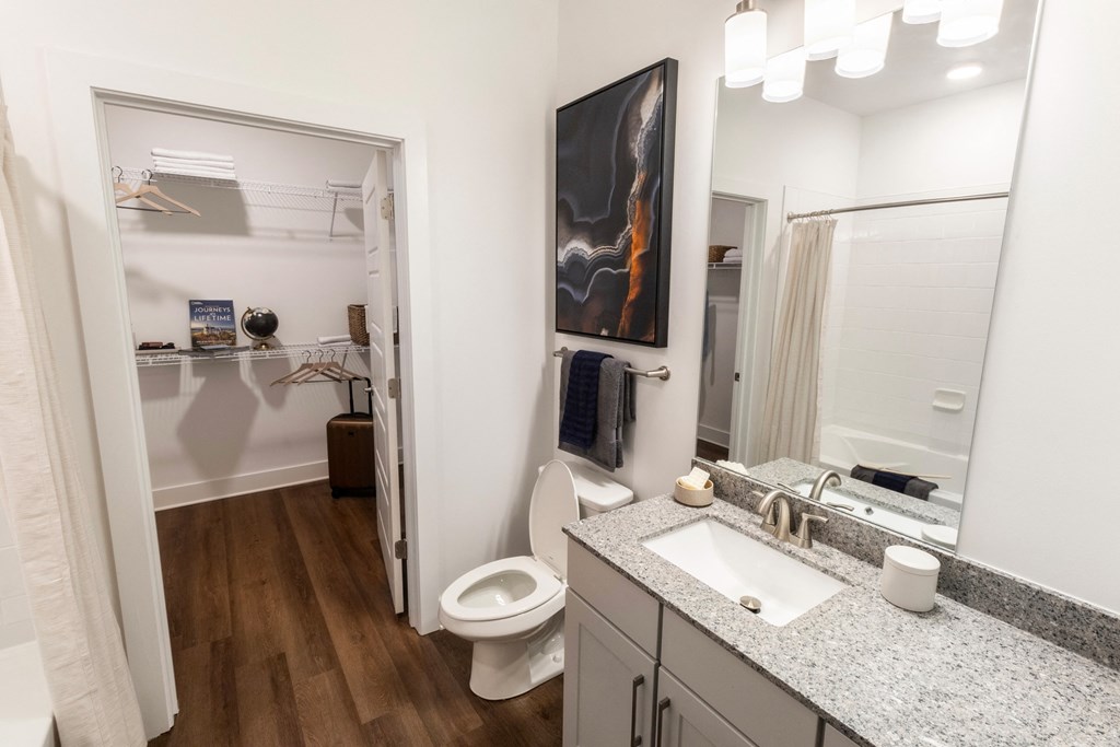 a bathroom with a sink and a toilet and a mirror