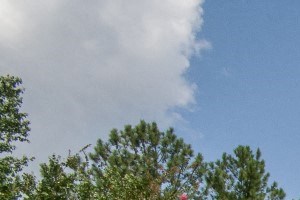 Apartments In Alpharetta Ga North Park Estates Home