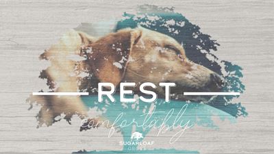 Rest