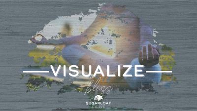 Visualize