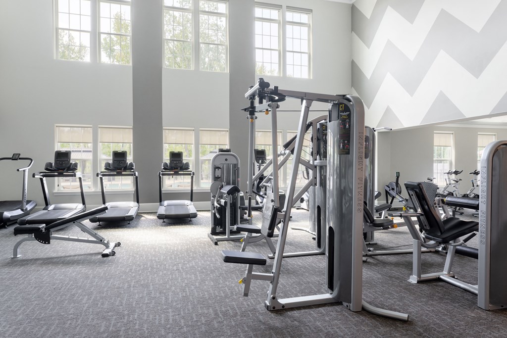 a gym with a lot of exercise equipment on a carpeted floor