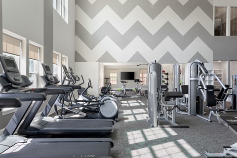 a large fitness center with treadmills and other exercise equipment