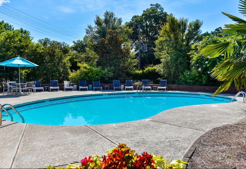 pool with landscaping
