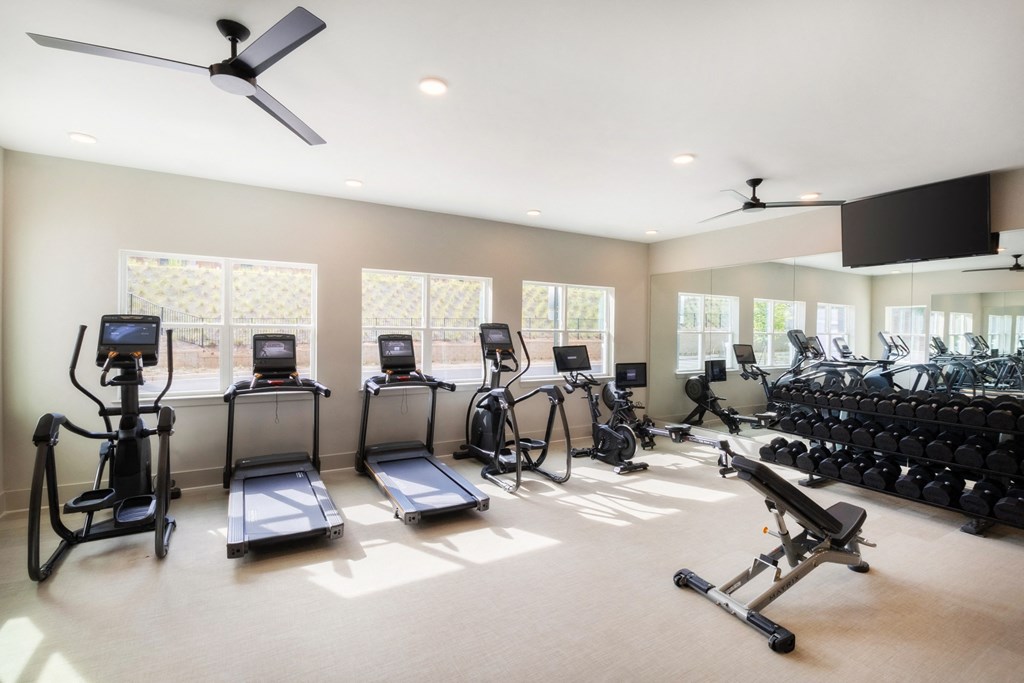 the fitness room has cardio machines and weights