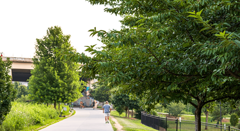people walking and biking on a path in a park