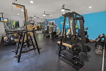 a fully equipped gym with weights and cardio equipment - Photo Gallery 6