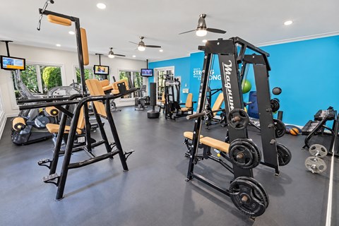 A gym with a blue wall and a variety of exercise equipment.