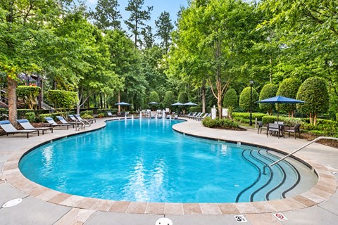 A large outdoor swimming pool surrounded by trees and lounge chairs.