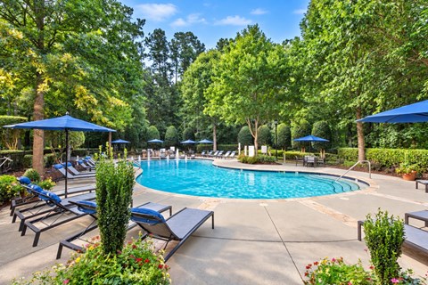 A pool surrounded by trees and lounge chairs.