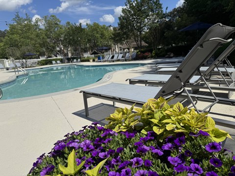 A pool with a bench and flowers in the foreground.