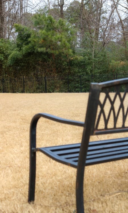 a park bench sitting in the middle of a field