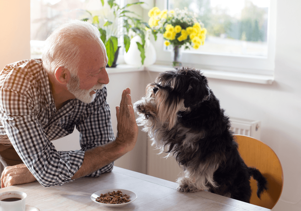 a man sitting at a table with his dog giving him a high five