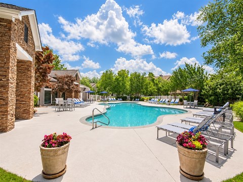 A pool surrounded by lounge chairs and potted plants.